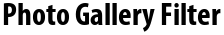 Photo Gallery Filter